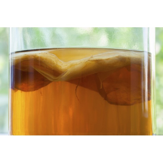 Jun Tea with SCOBY - 720mL