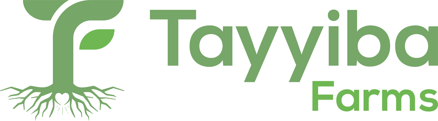 Tayyiba Farms Egypt