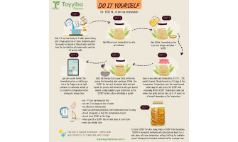Jun Tea Brewing Tutorial - Step by Step Infographics - With Arabic