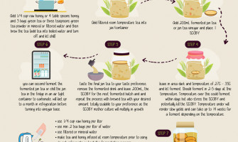 Jun Tea Brewing Tutorial - Step by Step Infographics - With Arabic