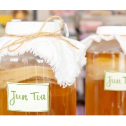 Jun Tea - First Fermentation - 1L