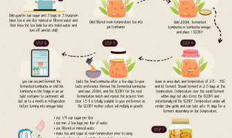 Kombucha Tutorial - Step by Step Infographics - With Arabic