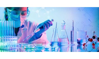 GMO Contamination Screening - Alfalfa and Corn (Greens and Grains)