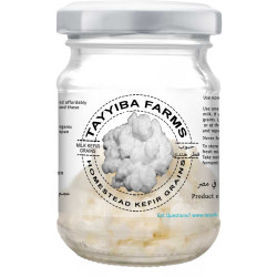 Live Organic Milk Kefir Grains