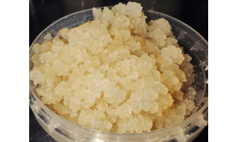 Understanding the Shelf Life of Kefir Water: Factors That Impact Bacterial Activity