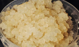Understanding the Shelf Life of Kefir Water: Factors That Impact Bacterial Activity