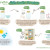 Milk Kefir Grain Tutorial - Infographic Steps