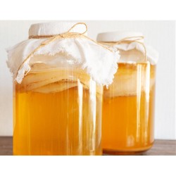 Kombucha - First Fermentation - 1L