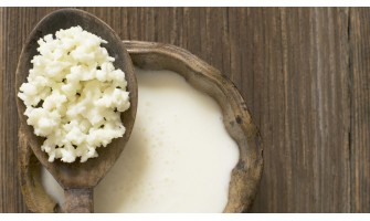 Milk Kefir Grains