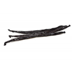 Planifolia Bourbon Vanilla Beans - Fresh - Madagascar Type - Grade A - 100g - 2024 - 14-16cm