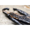 Planifolia Bourbon Vanilla Beans - Fresh - Madagascar Type - Grade A - 2 Pods - 2024 - 14-16cm