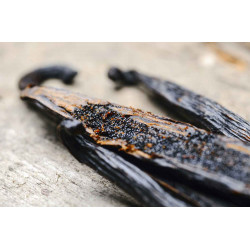 Planifolia Bourbon Vanilla Beans - Fresh - Madagascar Type - Grade A - 2 Pods - 2024 - 15-17cm